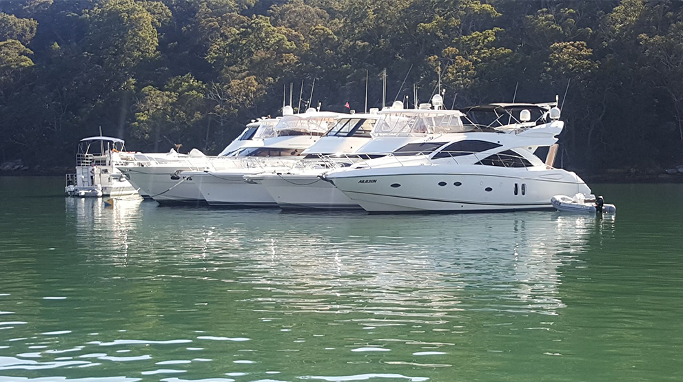CRUISER COMMUNITY COMMITTEE