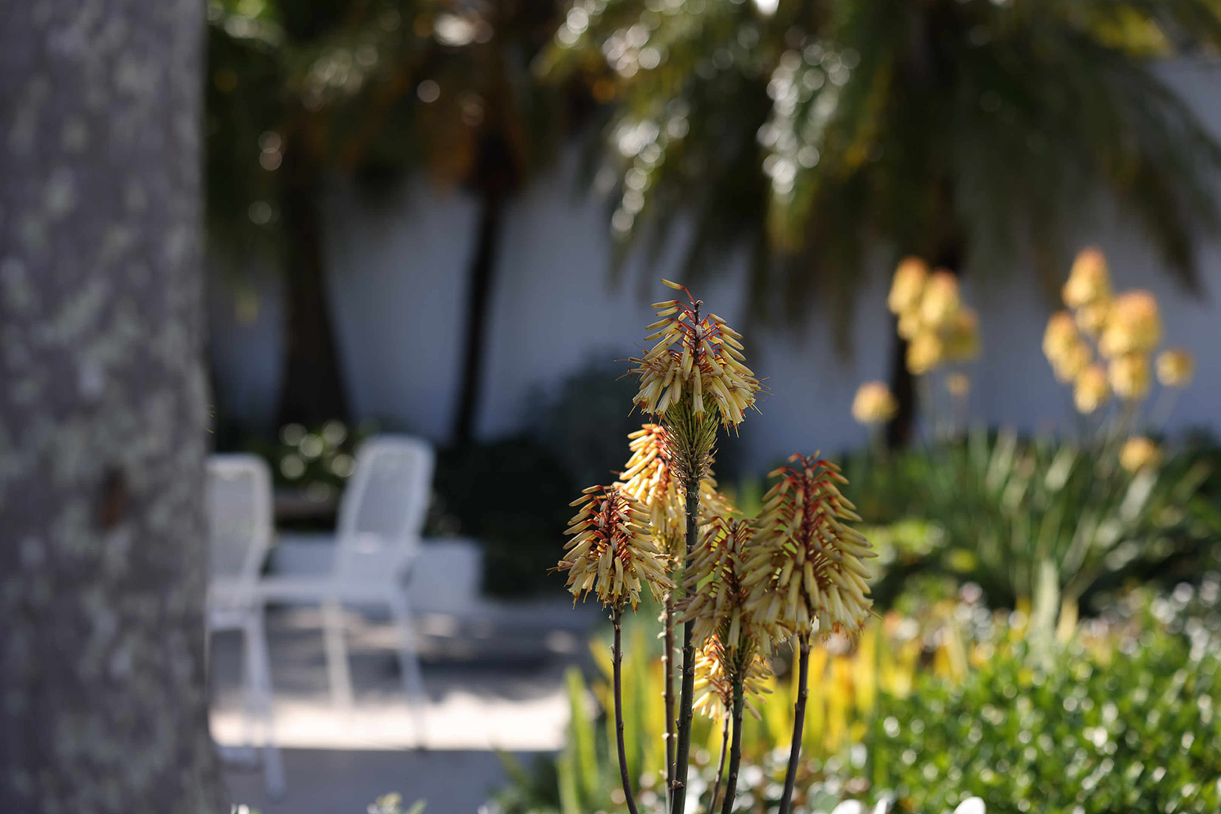 Royal Motor Yacht Club Broken Bay