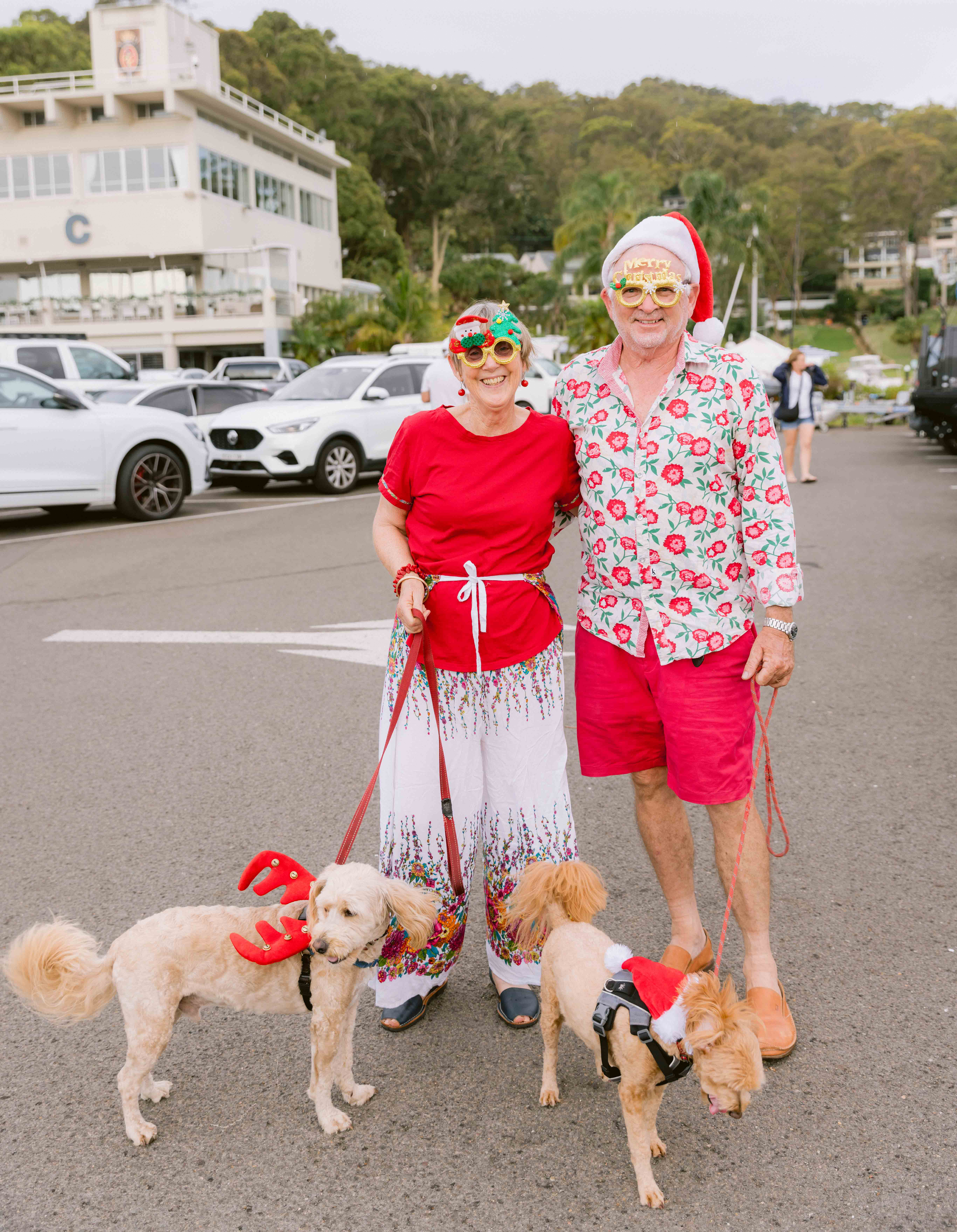 Marina Christmas Lights 🎅🎄