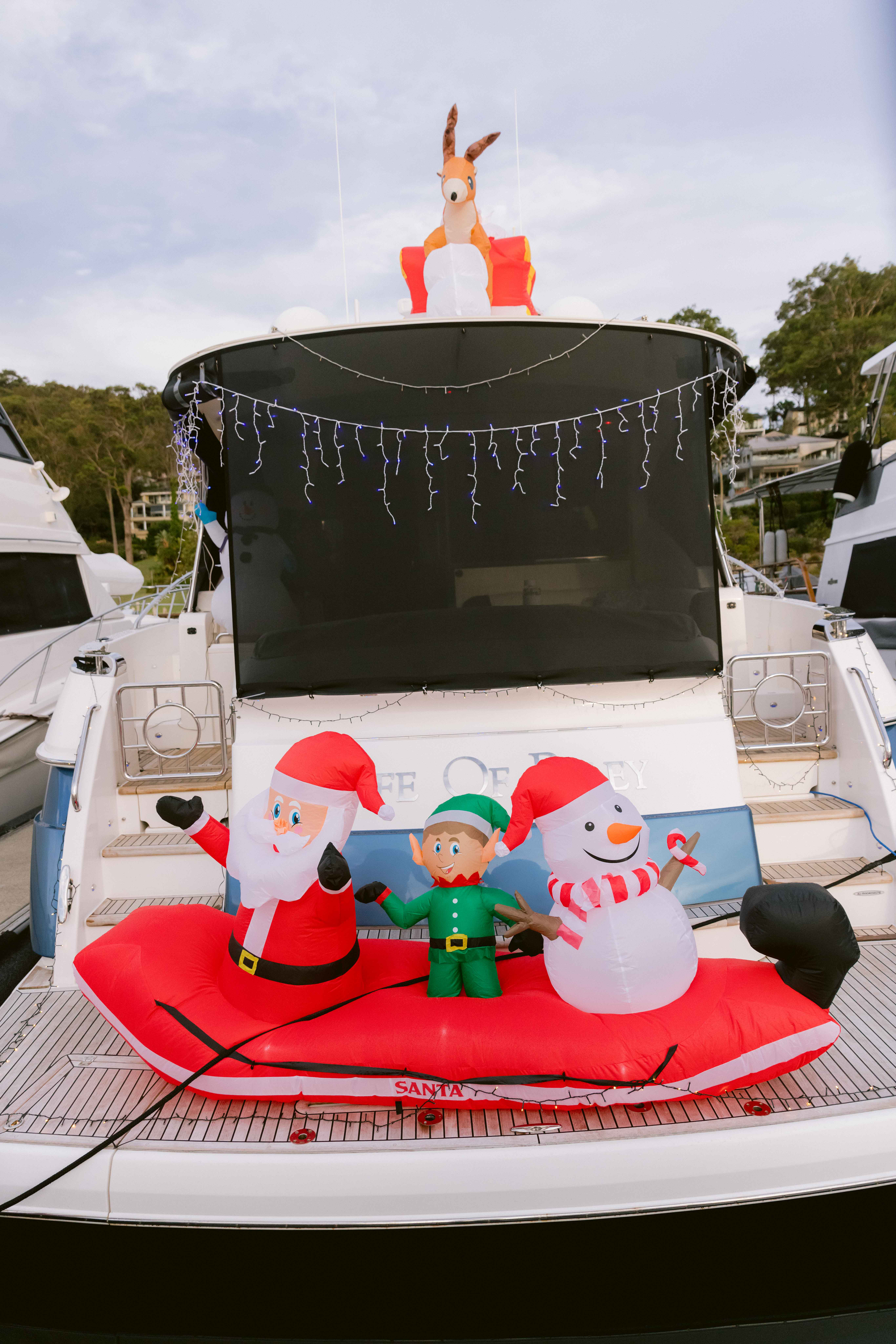 Marina Christmas Lights 🎅🎄